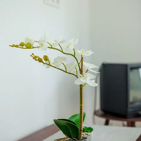 Viragos Vendeghaz Apartment *