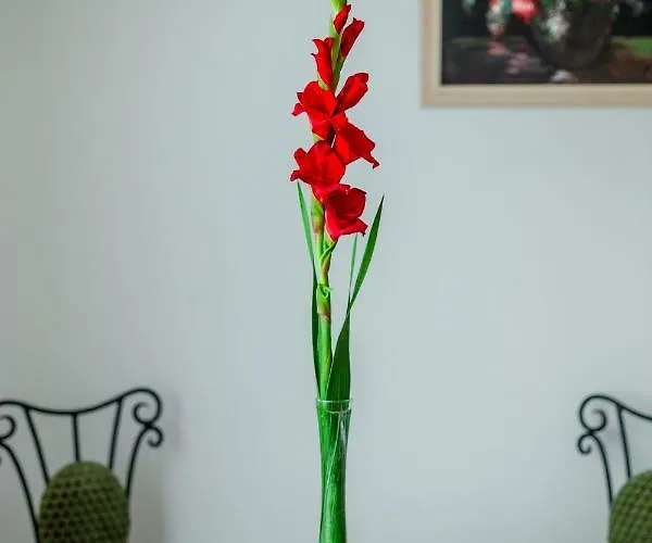 아파트 Viragos Vendeghaz
