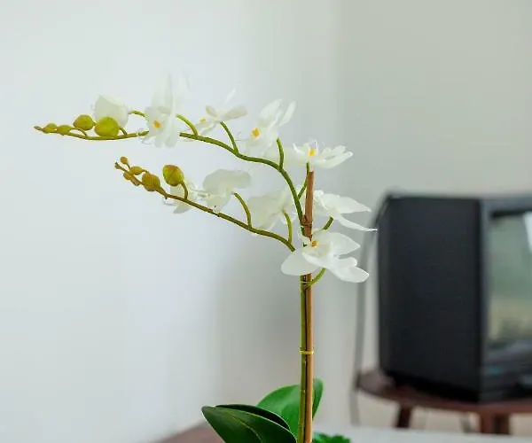 Viragos Vendeghaz 아파트 *
